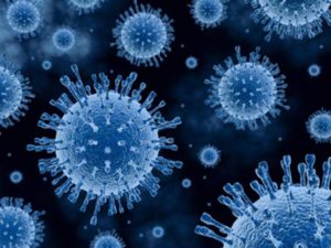 virus-epatite-c