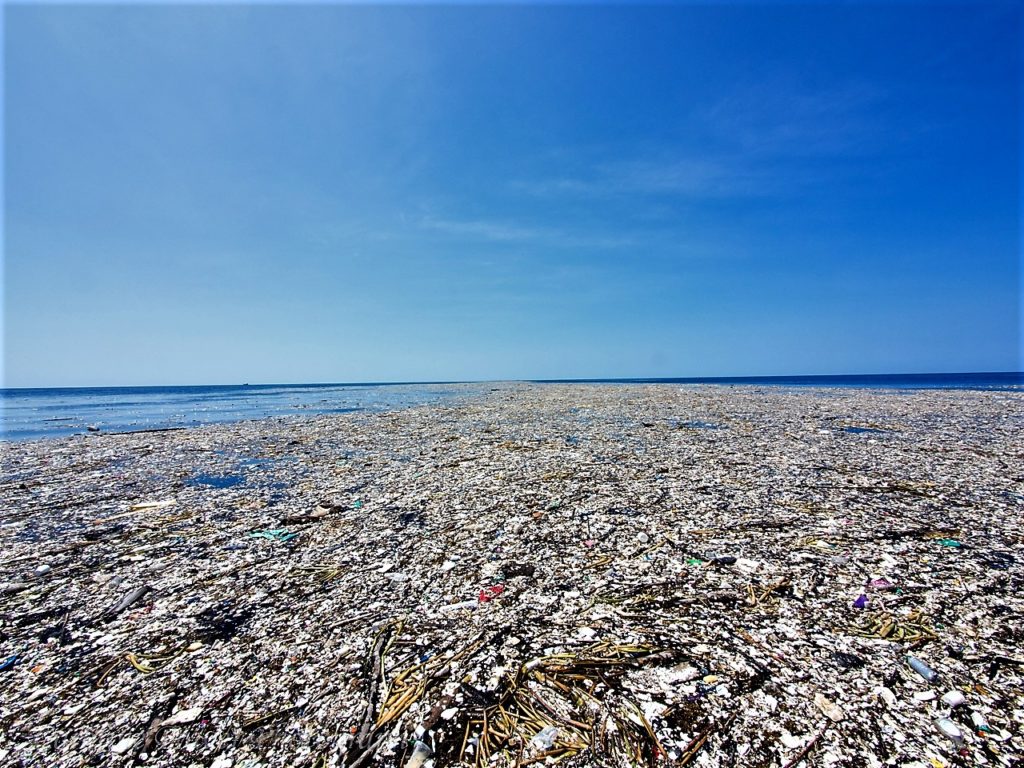 PACIFIC TRASH VORTEX