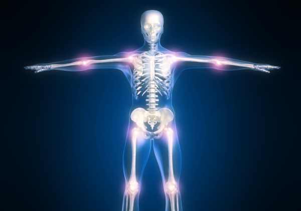 Le ossa, lo scheletro e le articolazioni sono il nostro sostegno