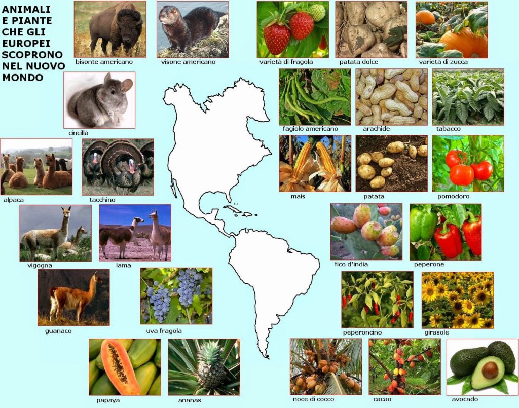 Colombo scopre il Nuovo Mondo: cambiò le nostre abitudini alimentari