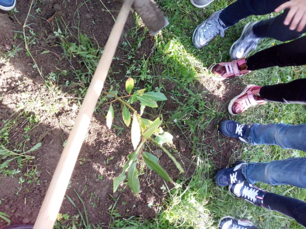 FESTA DELL’ALBERO”, con i bambini della Scuola dell’Infanzia “GIRASOLE” 