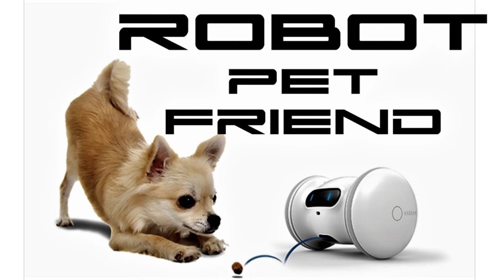 Varram, il robot per cani e gatti che sostituisce il padrone