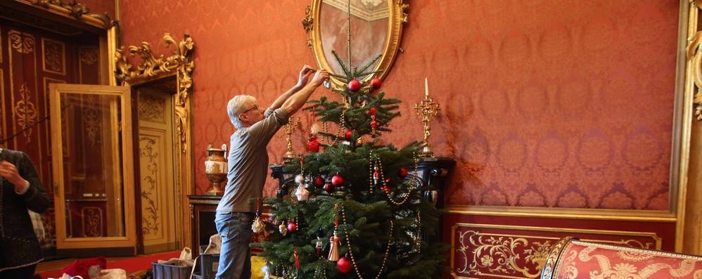 LE ORIGINI DELL'ALBERO DI NATALE, SIMBOLO DI FESTIVITA'