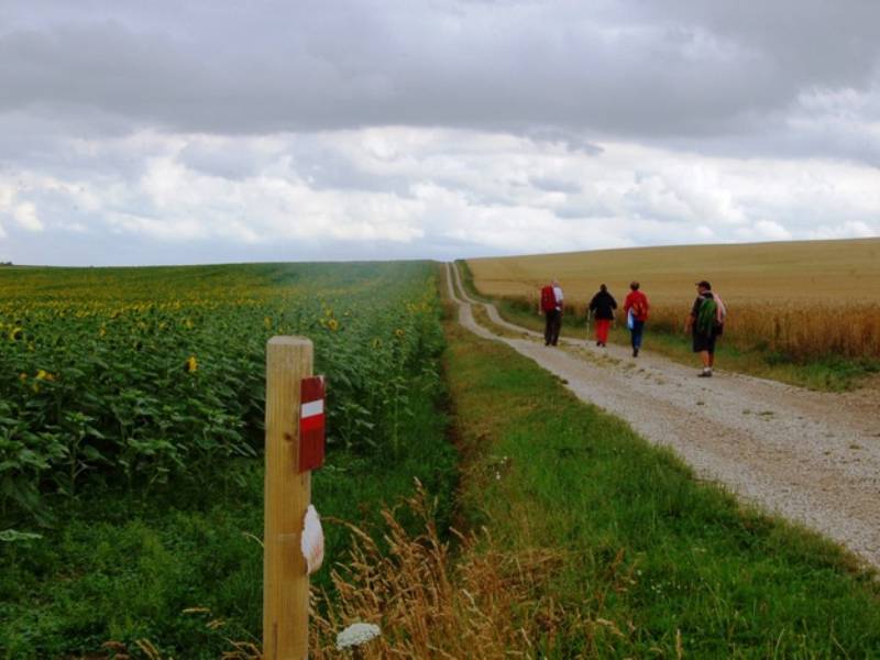 La Via Francigena, Itinerario Culturale del Consiglio d’Europa