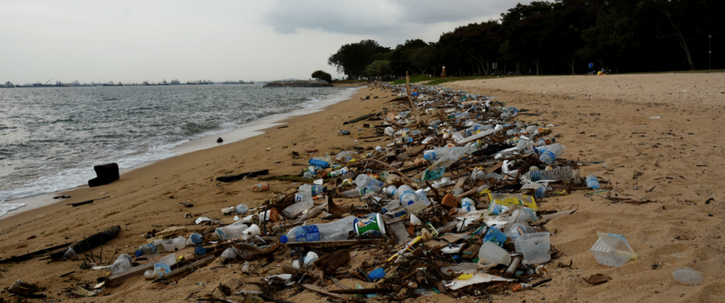 I mari e gli oceani: piccoli gesti e stili di vita per salvarli