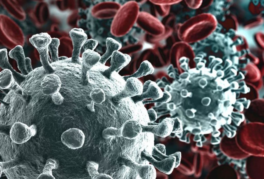 CORONAVIRUS: L’epidemia del nuovo Millennio 