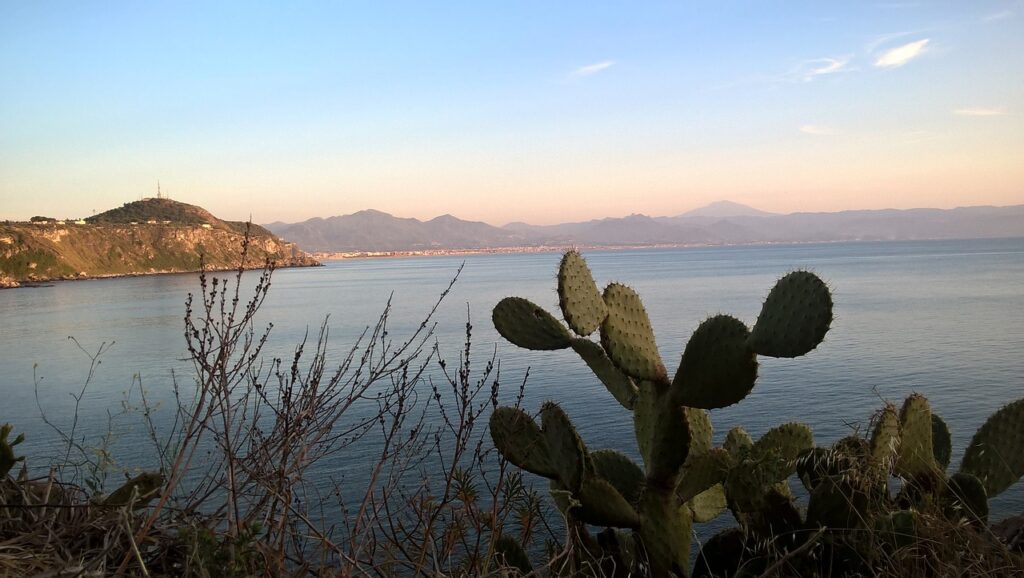 mare,